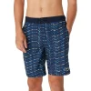 Falsa Palm Bondi Basin Boardshort 20"