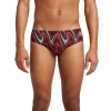 Purpose Brief