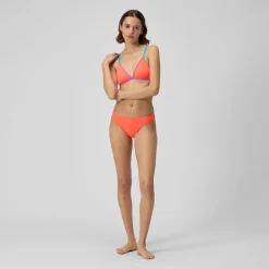 Solid Classic Bottom