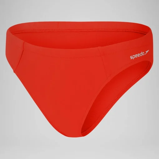 Solid Classic Bottom
