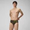 Space Train Brief