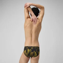 Space Train Brief