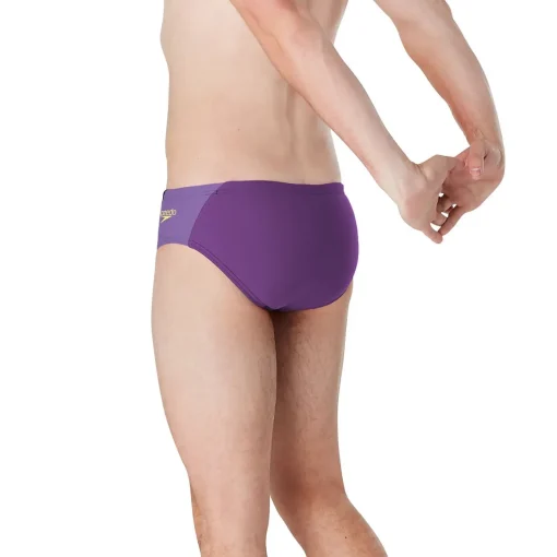 Splice Brief