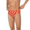 ST Vortex Maze Brief