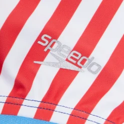 Stripe Blocked One Piece