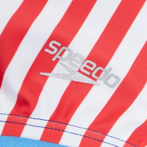 Stripe Blocked One Piece